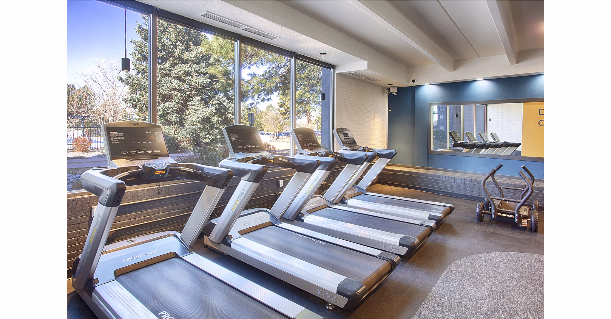 fitness center at Elm at Panorama Apartments