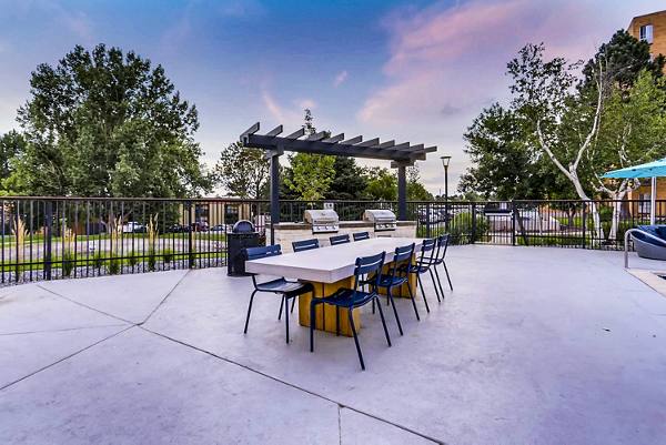 grill area at Elm at Panorama Apartments
