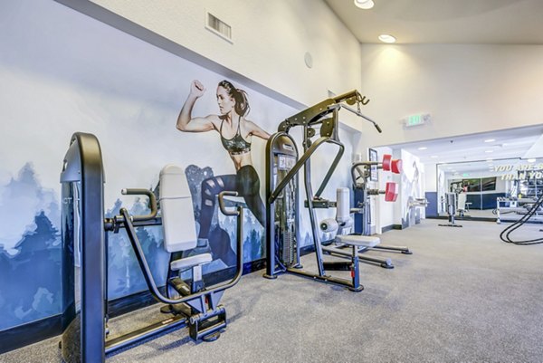 Modern fitness center with state-of-the-art equipment at Village Creek at Brookhill Apartments
