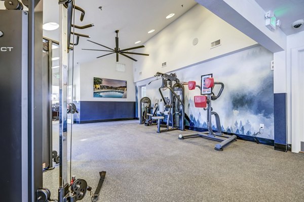 Fitness center equipped with modern exercise machines at Village Creek at Brookhill Apartments