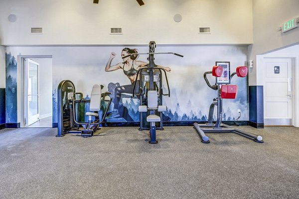State-of-the-art fitness center at Village Creek at Brookhill Apartments