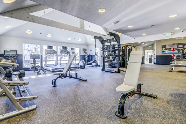 State-of-the-art fitness center with modern equipment at Village Creek at Brookhill Apartments, promoting a healthy lifestyle