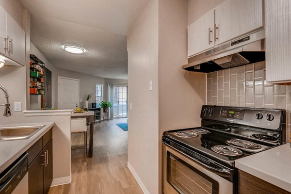 Modern kitchen with stainless steel appliances at The Eva Apartments