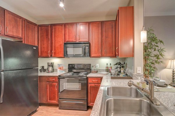 kitchen at Deseo at Grand Mission Apartments