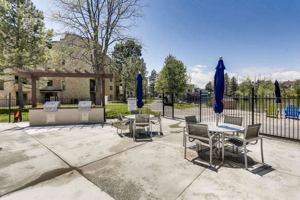 grill area at Lakeview Towers at Belmar Apartments