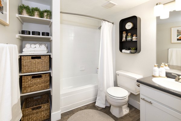 bathroom at The Ridge at Mountain View Apartments