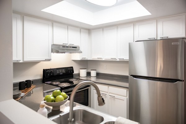 kitchen at The Ridge at Mountain View Apartments