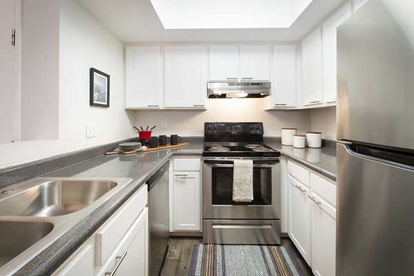 Modern kitchen with stainless steel appliances at The Ridge at Mountain View Apartments, offering a stylish living experience