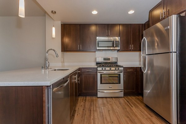 Modern kitchen with stainless steel appliances at 121 Tasman Apartments