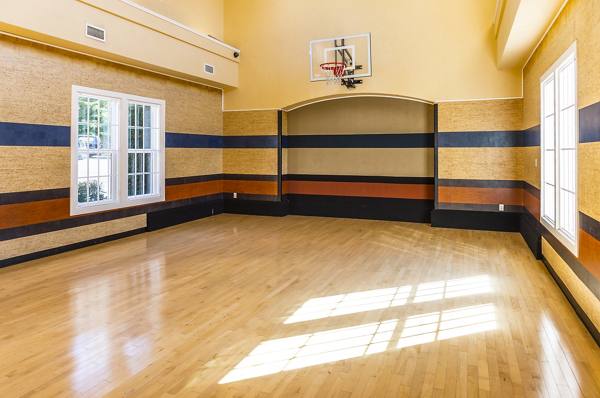 sports court at Belara at Lakeland Apartments