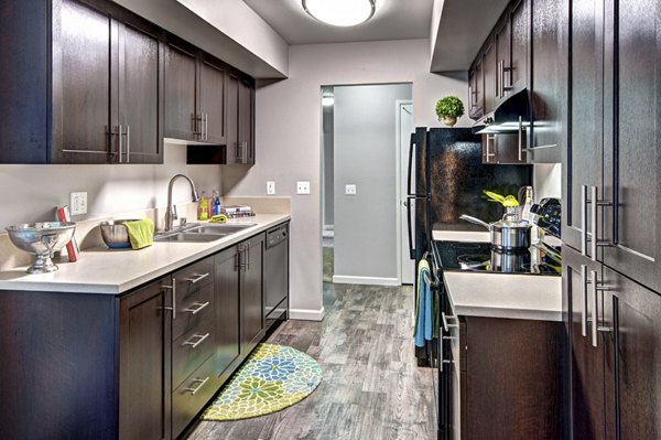 Modern kitchen with stainless steel appliances in Central Park East Apartments