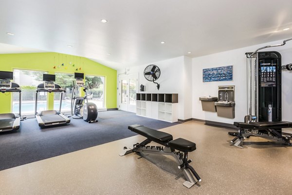 State-of-the-art fitness center with modern equipment at The Woodlands Apartments