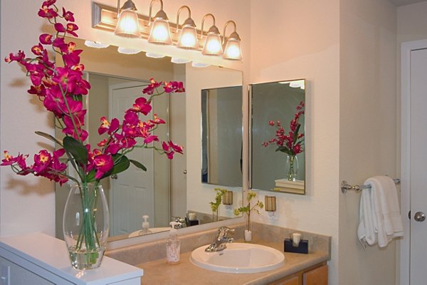 Bathroom with modern fixtures in Island Homestead Apartments