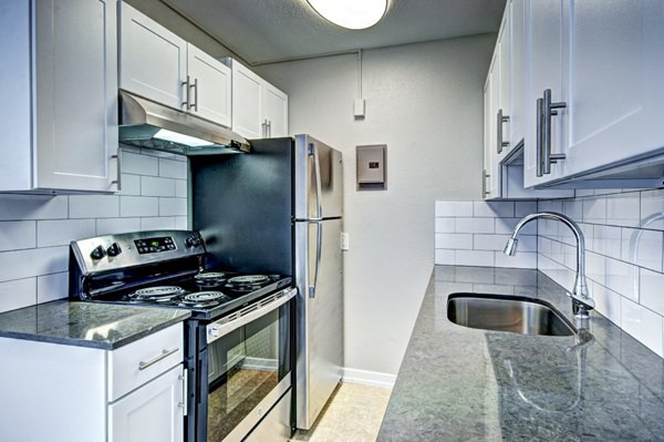 Modern kitchen with stainless steel appliances at Lock Vista Apartments, ideal for luxury living