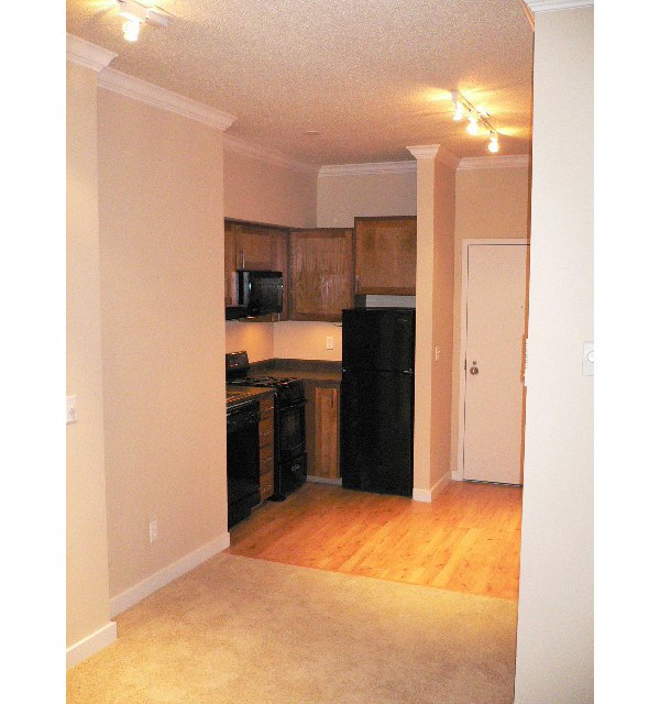 Modern kitchen with stainless steel appliances at Post Alley Court Apartments, luxury living in downtown