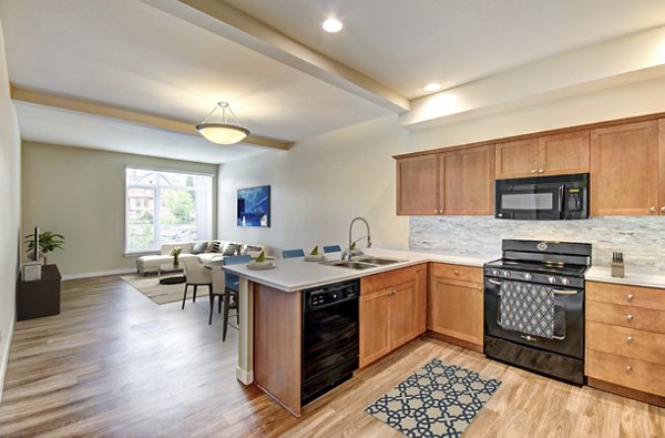 Modern kitchen featuring sleek stainless steel appliances at Chelsea Heights Apartments, a luxury property by Greystar in an upscale neighborhood