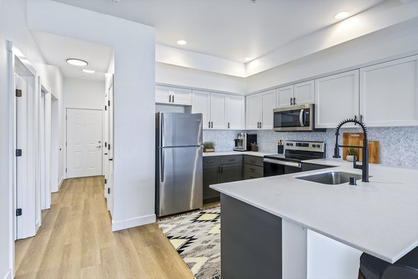 Modern kitchen with stainless steel appliances at Chelsea Heights Apartments, a luxury Greystar property offering stylish living spaces