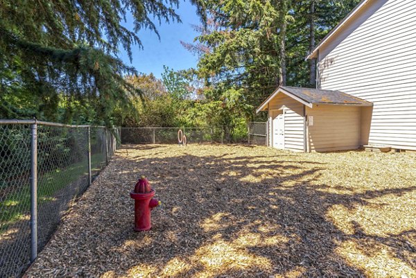 Dog-friendly park with agility equipment at Avana One Zero Nine Apartments