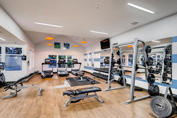 State-of-the-art fitness center with modern equipment at Rivercrest Meadows Apartments for active living