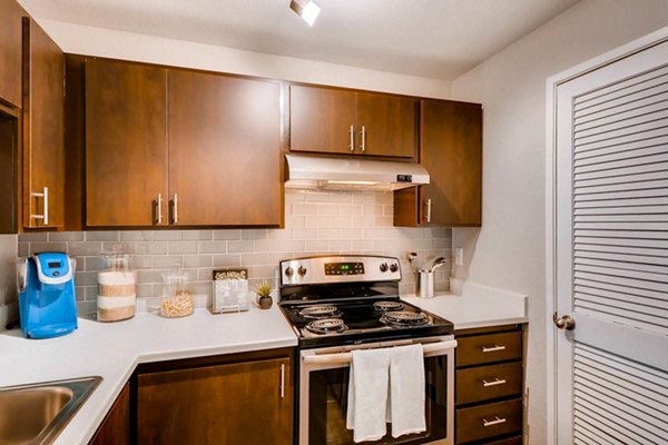 Modern kitchen with stainless steel appliances in Rivercrest Meadows Apartments