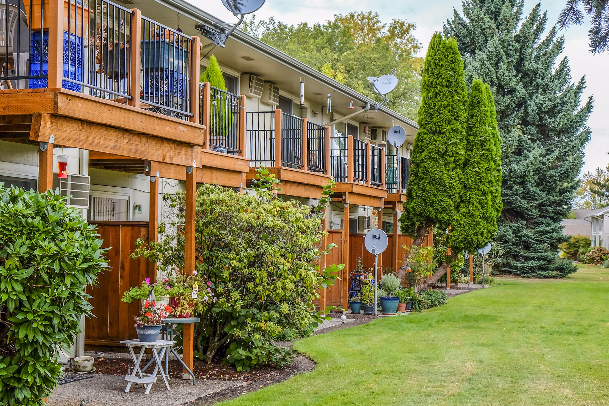 Meadowlawn Apartments: Elegant building in peaceful suburb