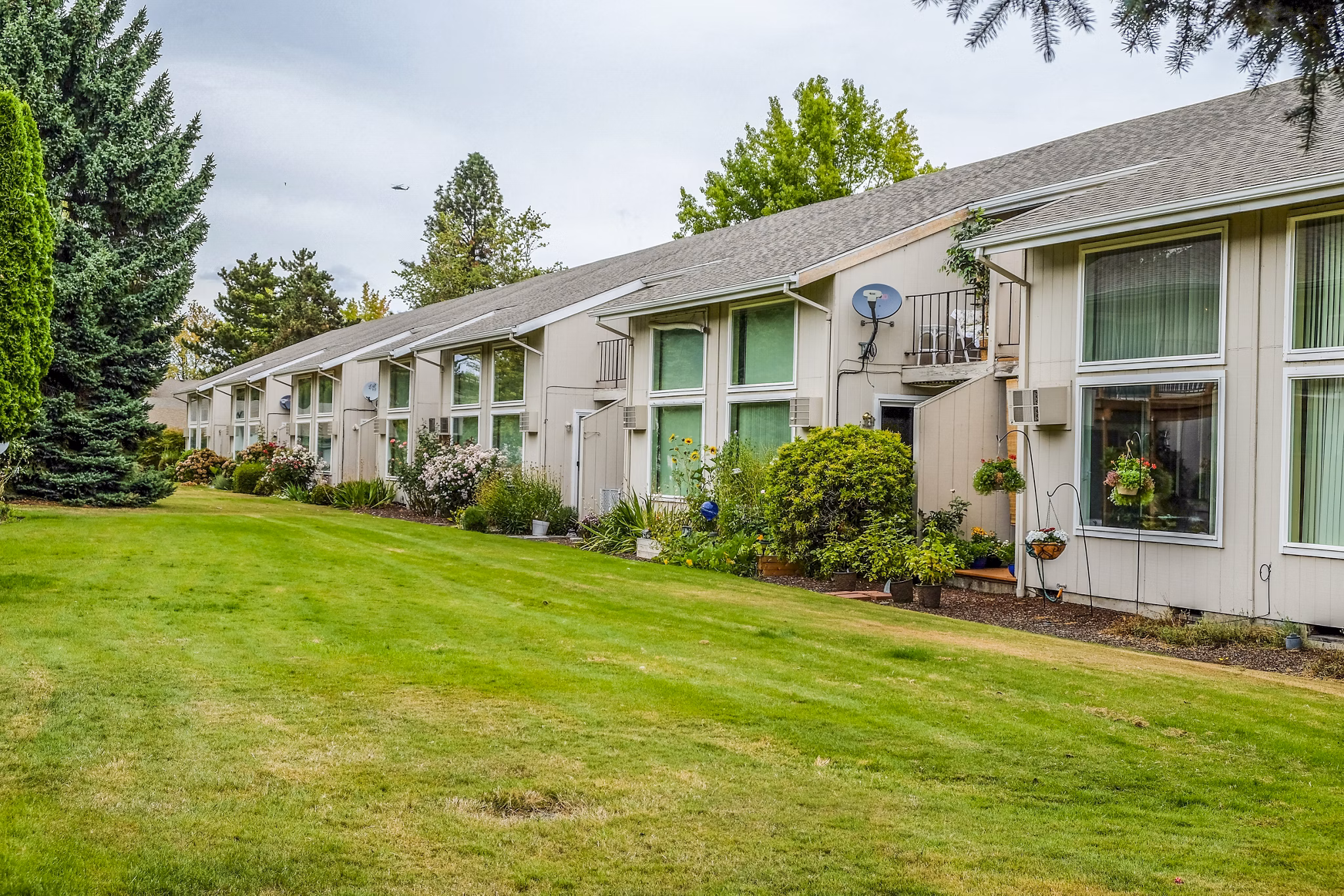 Meadowlawn Apartments: Contemporary building in suburban setting