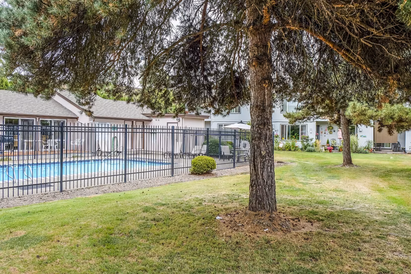 Resort-style swimming pool at Meadowlawn Apartments with comfortable loungers and lush landscaping