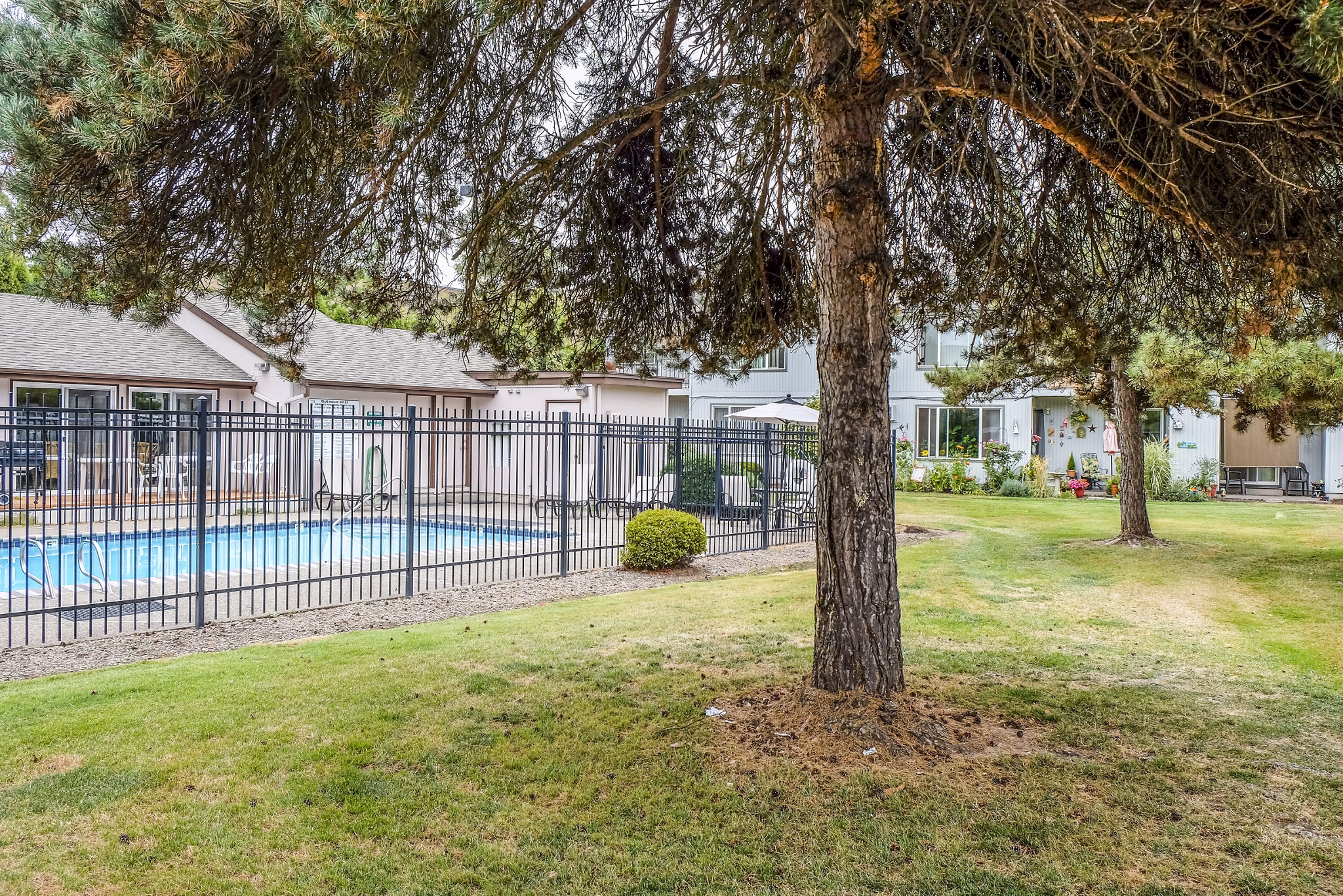 Resort-style swimming pool at Meadowlawn Apartments with comfortable loungers and lush landscaping