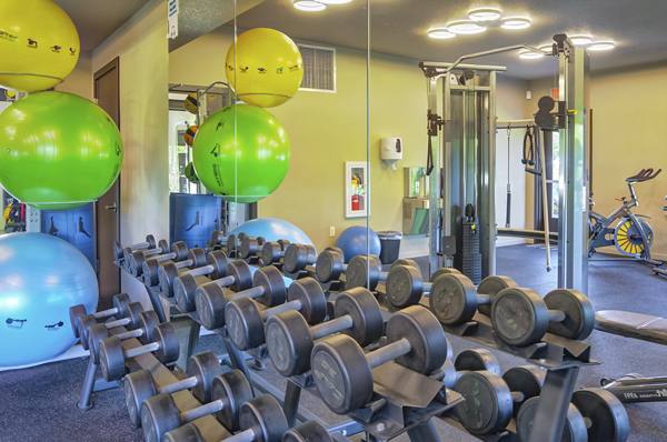 fitness center at 206 Apartments