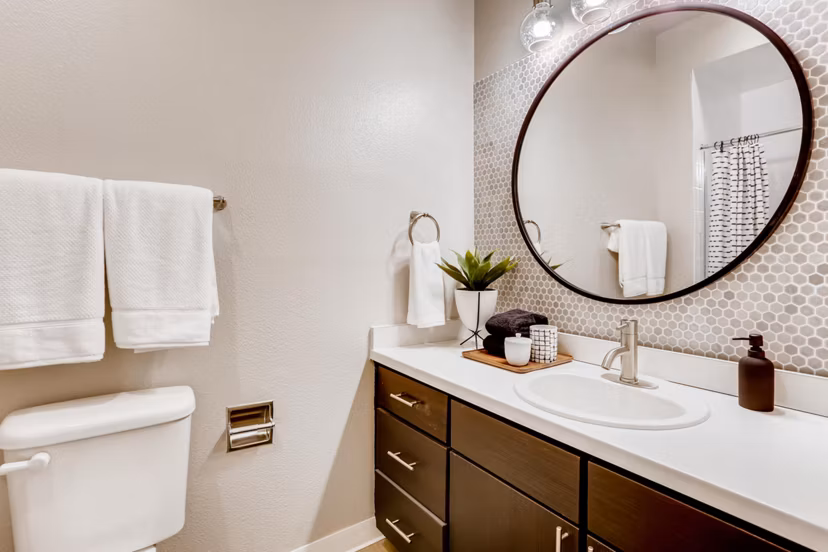 bathroom at Alta Springs Apartments 
