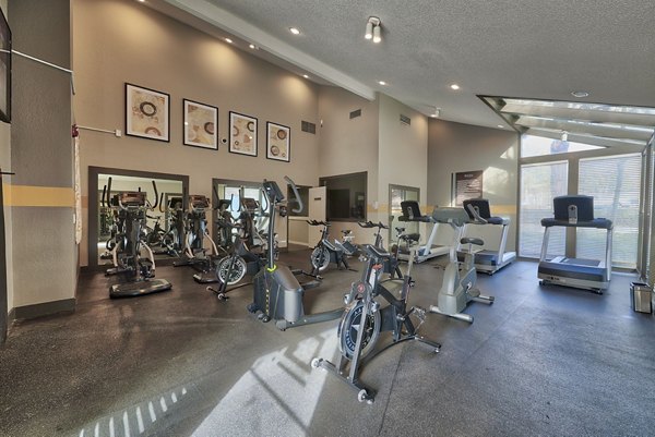 fitness center at Alta Springs Apartments 