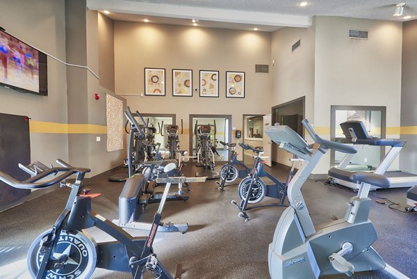 fitness center at Alta Springs Apartments 