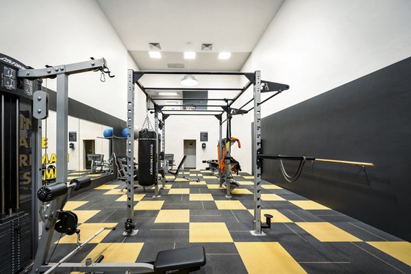 fitness center at Alta Springs Apartments