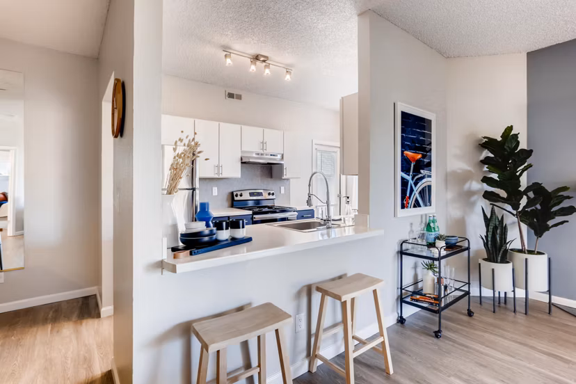 kitchen at Alta Springs Apartments 