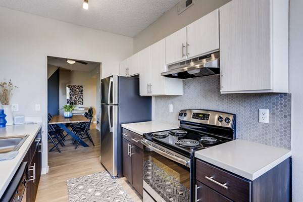 kitchen at Alta Springs Apartments