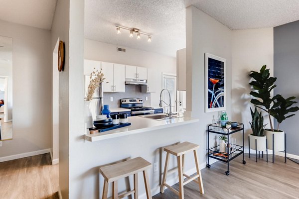 kitchen at Alta Springs Apartments