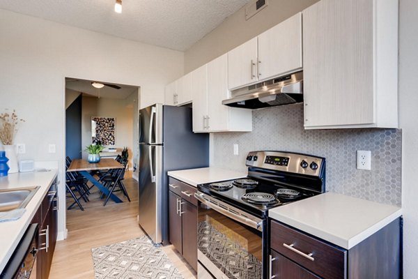 kitchen at Alta Springs Apartments 