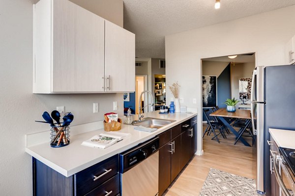 kitchen at Alta Springs Apartments 