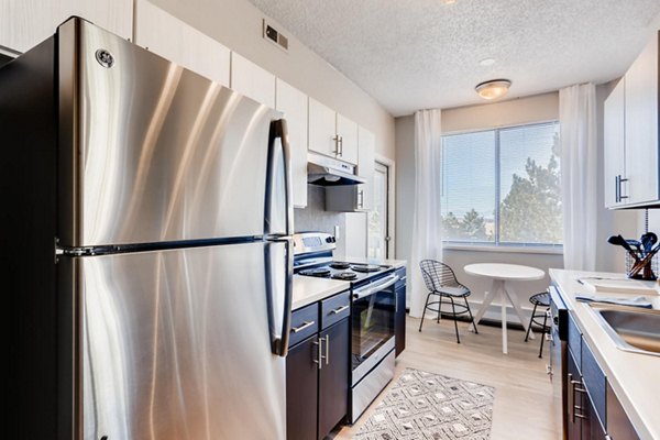 kitchen at Alta Springs Apartments 