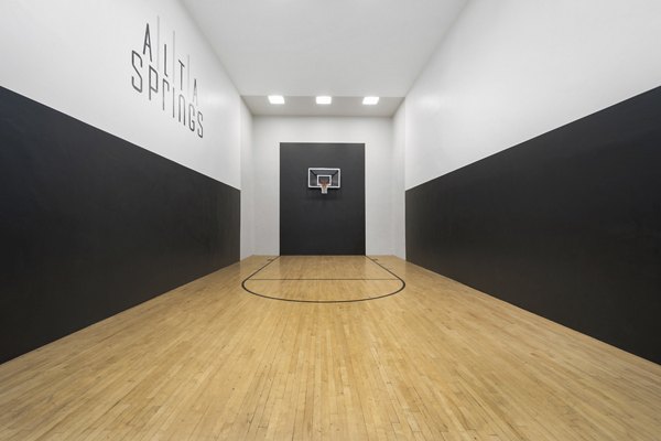 sport court at Alta Springs Apartments