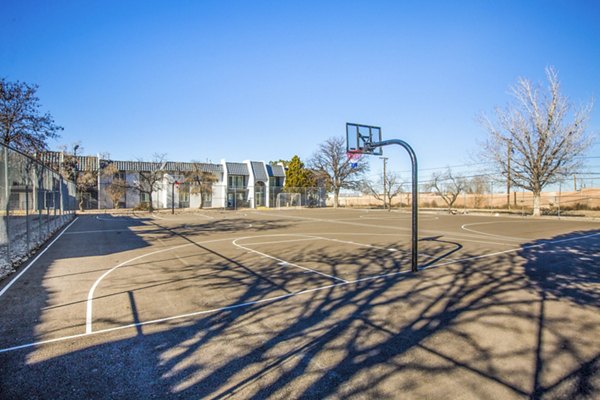 basketball court at VIA Apartments