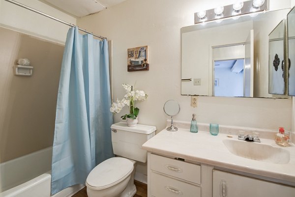 Compact bathroom with modern fixtures at Desert Creek Apartments