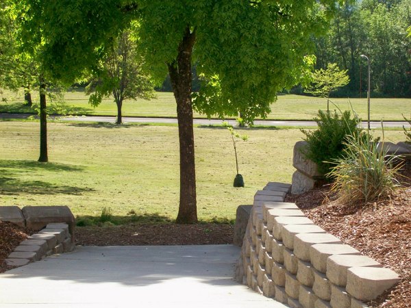 Timberhill Meadows: Serene view of luxury apartments surrounded by lush greenery