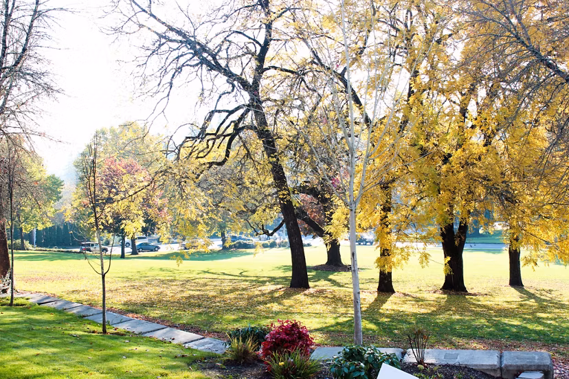 Timberhill Meadows: Scenic view of luxury apartments surrounded by lush greenery