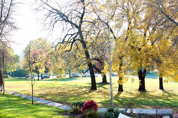 Timberhill Meadows: Scenic view of luxury apartments surrounded by lush greenery