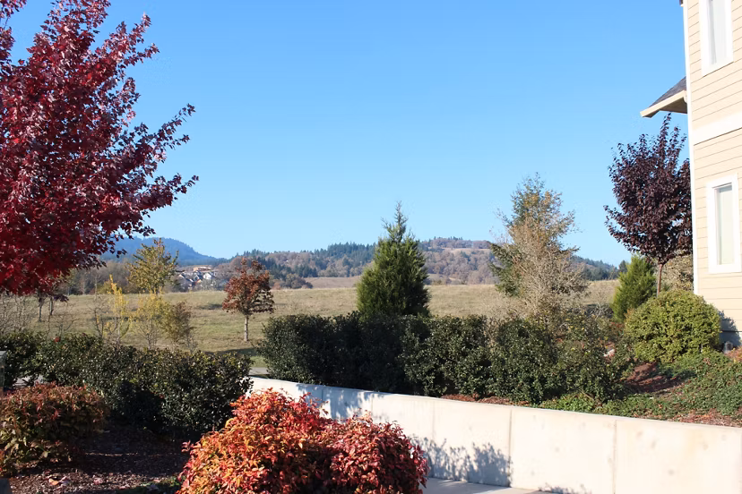 Timberhill Meadows Apartments: Scenic view of luxury complex nestled in lush greenery