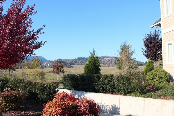 Timberhill Meadows Apartments: Scenic view of luxury complex nestled in lush greenery