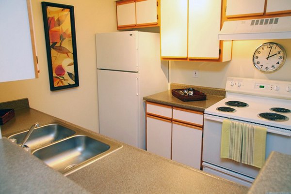Luxurious kitchen with modern appliances in Jackson School Village Apartments