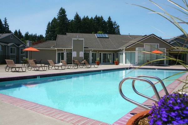 Luxurious outdoor pool at Jackson School Village Apartments with sun loungers and landscaped surroundings for relaxation and leisure