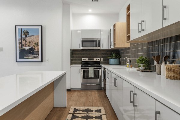 clubhouse kitchen at Palm Court Apartments
